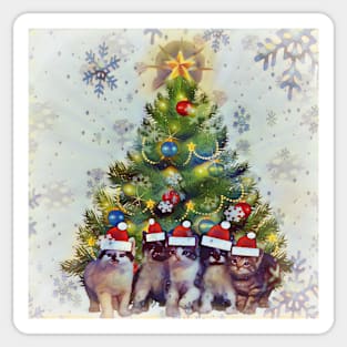 Christmas Kittens! Sticker